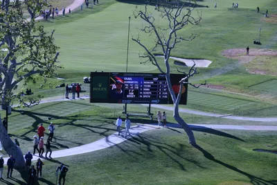 DSC_0721 (Large).JPG